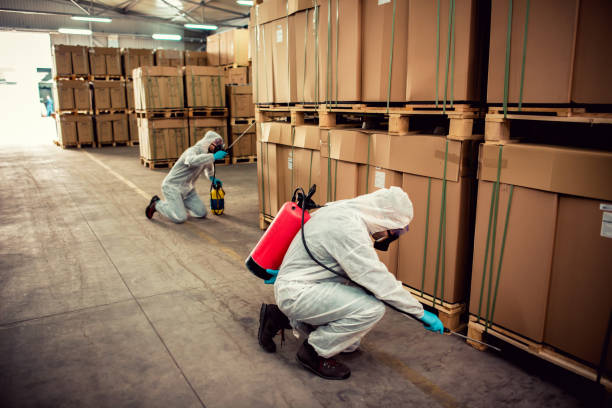 Best Local Pest Control Services  in Sandusky, MI