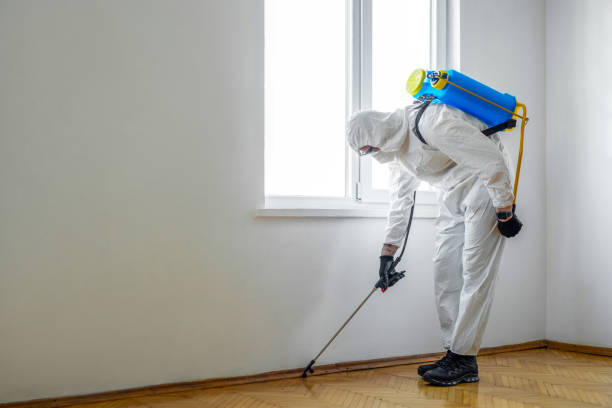 Best Pest Inspection Near Me  in Sandusky, MI