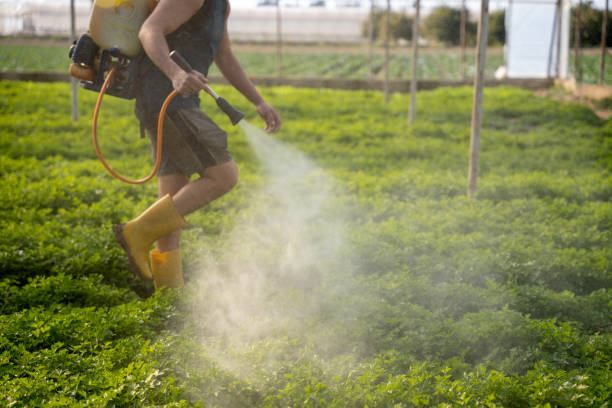 Best Affordable Pest Control Services  in Sandusky, MI