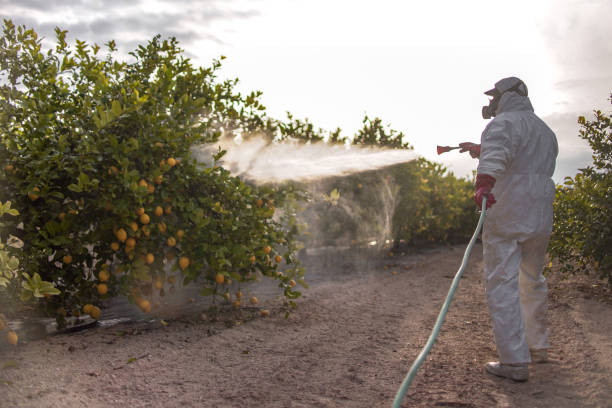 Professional Pest Control in Sandusky, MI