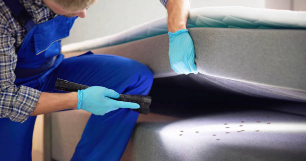 Best Affordable Pest Control Services  in Sandusky, MI
