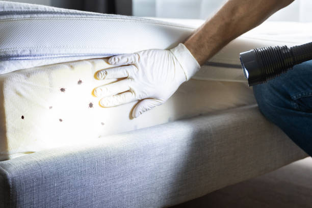 Pest Control for Restaurants in Sandusky, MI