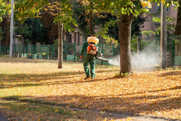 Best Affordable Pest Control Services  in Sandusky, MI