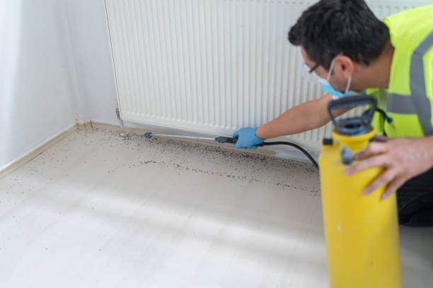 Best Residential Pest Control  in Sandusky, MI