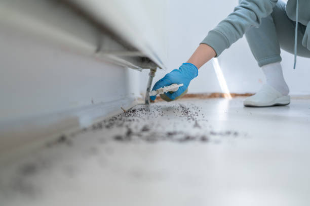 Best Rat Extermination Near Me  in Sandusky, MI