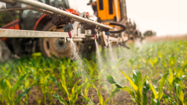 Best Local Pest Control Services  in Sandusky, MI